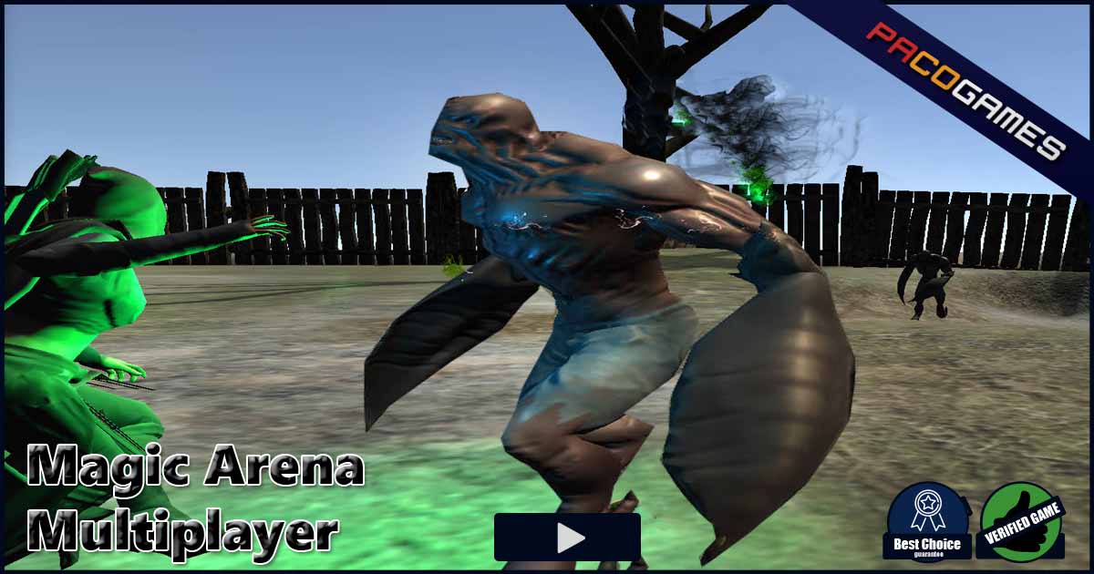 Magic Arena Multiplayer