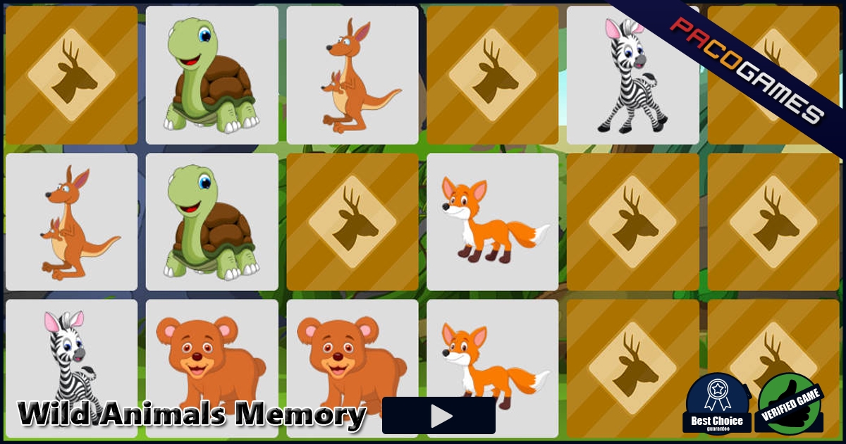 Wild Animals Memory